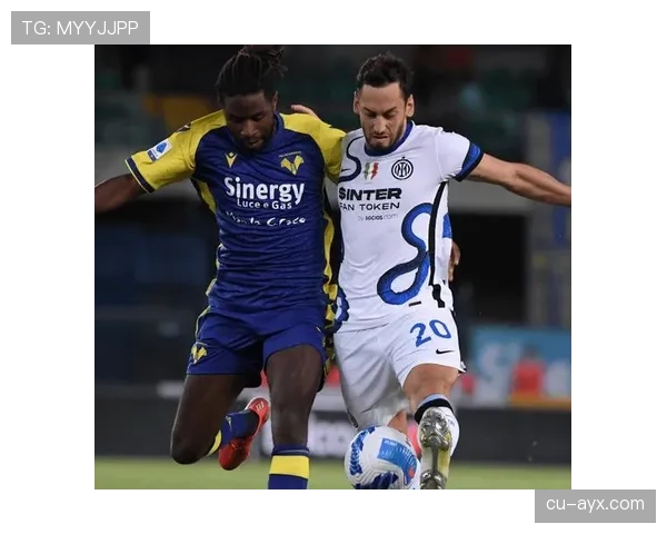 罗德里戈战术角色与体系适配性解析