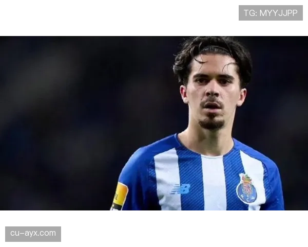 维蒂尼亚技术特点解析